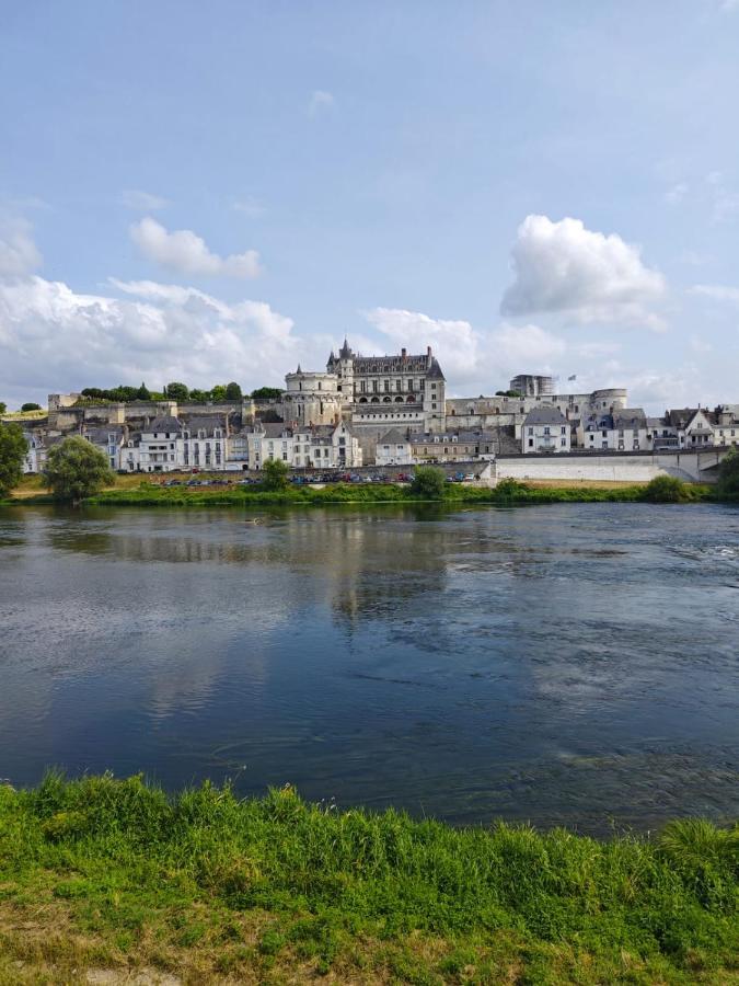 Villa Le Nid De L'Ile Amboise Exterior foto